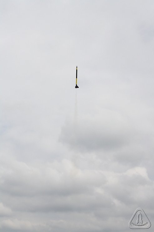 2013 Svojek Mirek Topinka